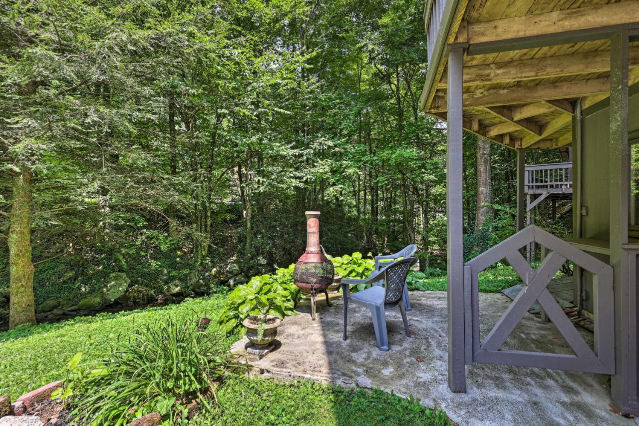 Creekside Roan Mountain Cabin Walk To Trails Εξωτερικό φωτογραφία