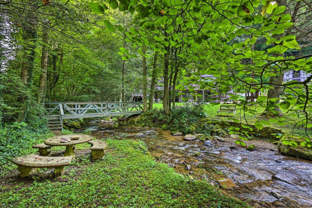 Creekside Roan Mountain Cabin Walk To Trails Εξωτερικό φωτογραφία